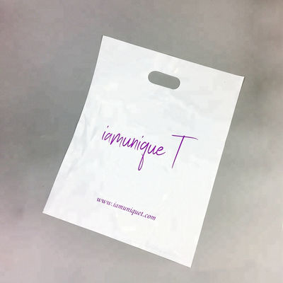 Plastic Handle Packaging Bag Die Cut Bag Shopping Bag With Own Logo