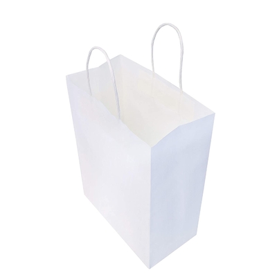 Bidegradable Paper Eco Printed Carrying Shopping Bags 300GSM